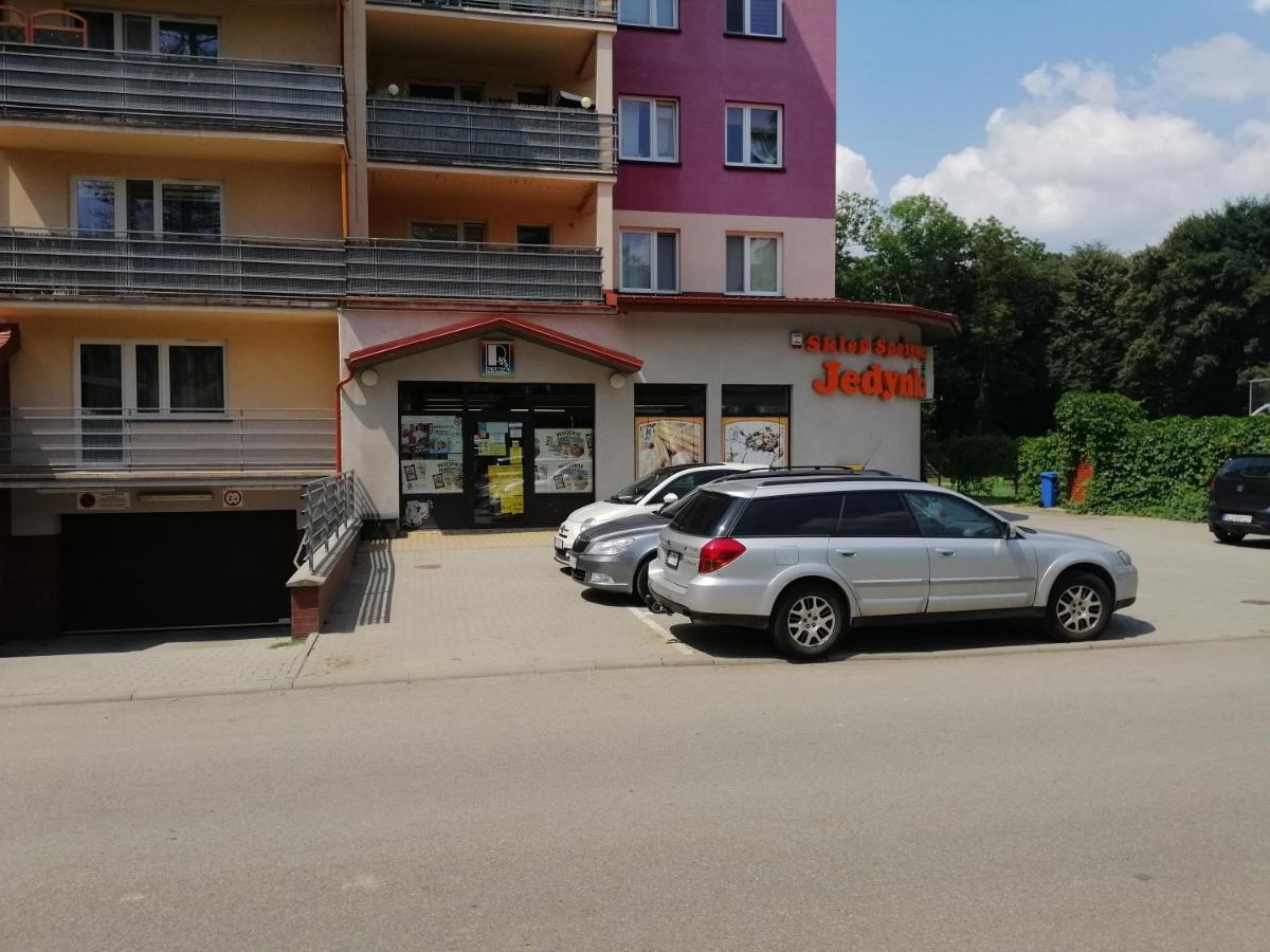 Apartament Witkiewicza Sanok Exterior photo